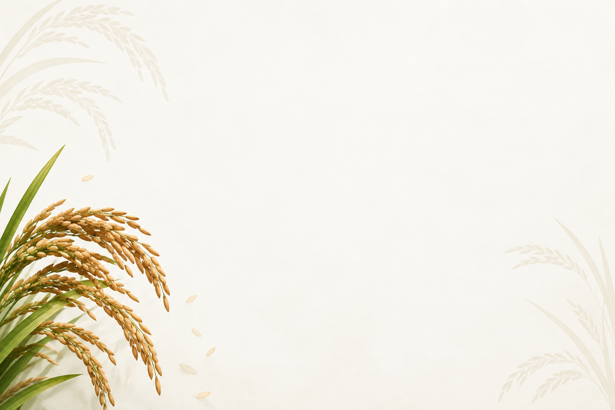 FAQ Background